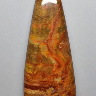Petrified-wood-55.09-ct.jpg
