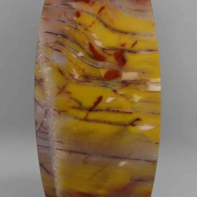 Petrified-wood-57.49-ct.jpg