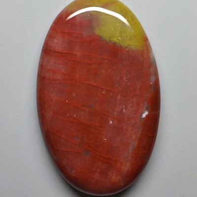 Petrified-wood-65.03-ct.jpg