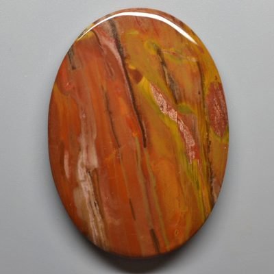 Petrified-wood-73.08-ct.jpg