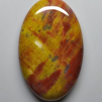 Petrified-wood-80.74-ct.jpg