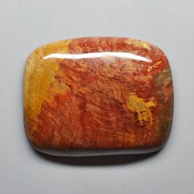 Petrified-wood-85.55-ct.jpg