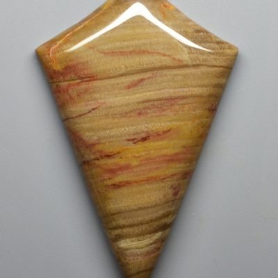 Petrified-wood-91.17-ct.jpg