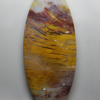 Petrified-wood-araucarioxylon-187.74-ct.jpg