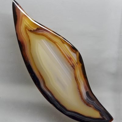 Piranha-agate-133.63-ct.jpg