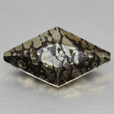 Plesiosaurus-3.34-ct.jpg