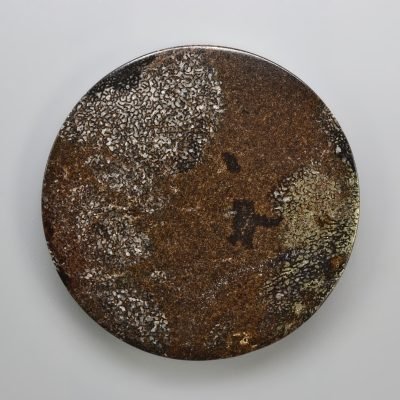 Plesiosaurus-bone-101.72-ct.jpg