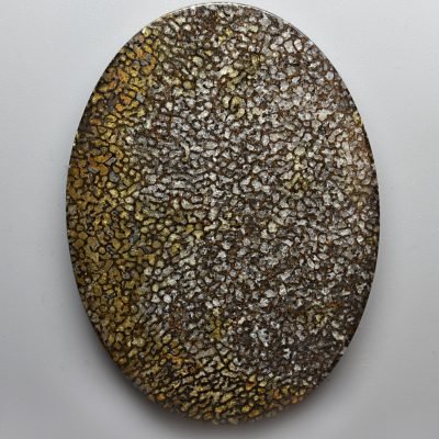 Plesiosaurus-bone-107.06-ct.jpg