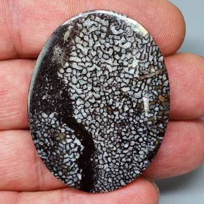 Plesiosaurus-bone-110.68-ct.jpg