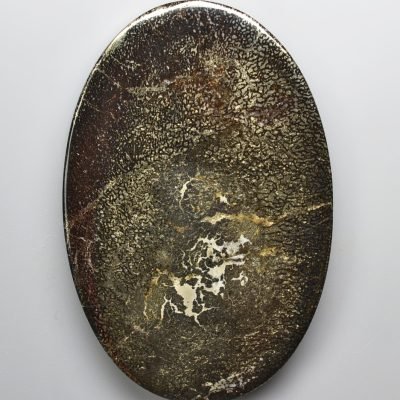 Plesiosaurus-bone-185.36-ct.jpg