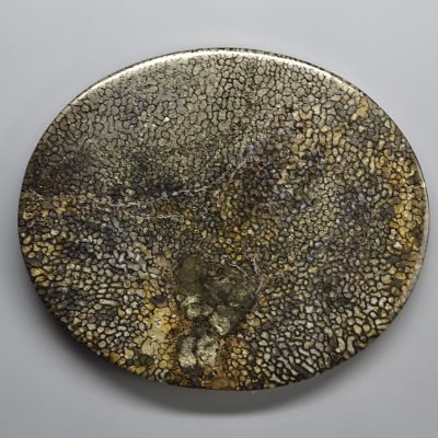 Plesiosaurus-bone-187.52-ct.jpg