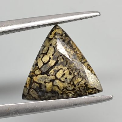 Plesiosaurus-bone-2.93-ct.jpg