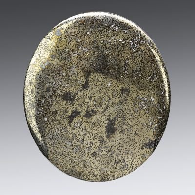 Plesiosaurus-bone-290.5-ct.jpg