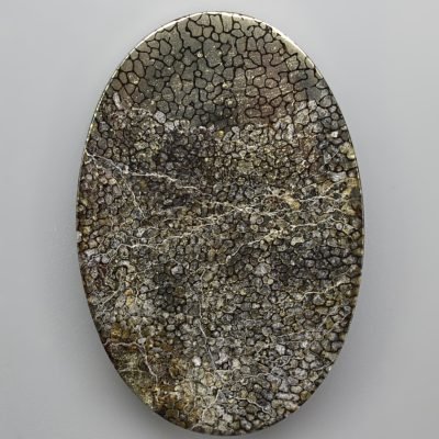 Plesiosaurus-bone-57.46-ct.jpg