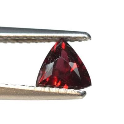 Pyrope-0.80-ct.-2.jpg