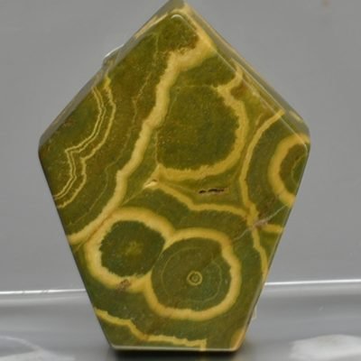 Python-japser-focal-pendant-bead-62.92-ct.jpg