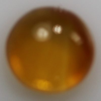 R10331.jpg