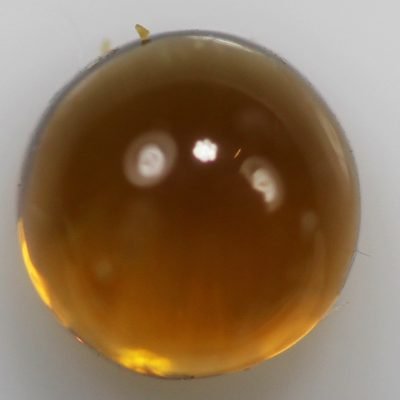 R1038.jpg