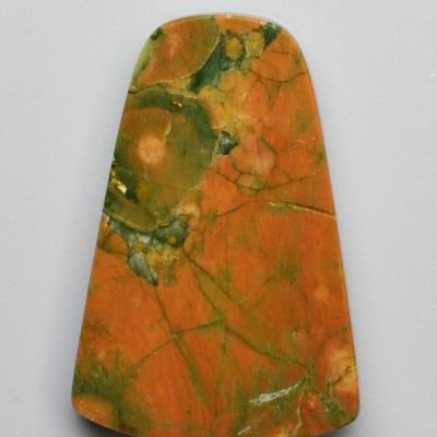 Rainforest-jasper-11.04-ct.jpg