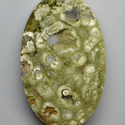 Rainforest-jasper-27.60-ct.jpg