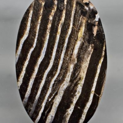 Sequoia-petrified-wood-91.71-ct.jpg