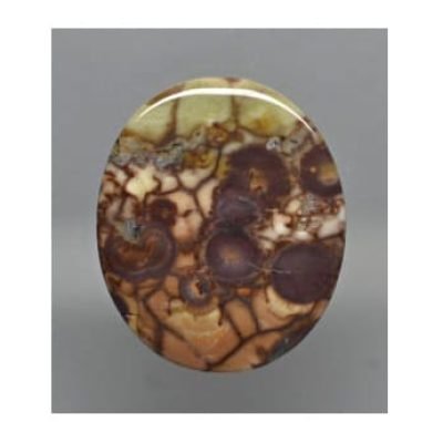 Spiderweb-jasper-40.29-ct.-262x300-1.jpg