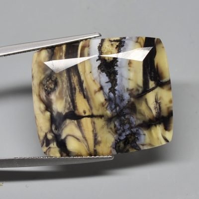 Stegodon-tooth-17.0-ct.b.jpg