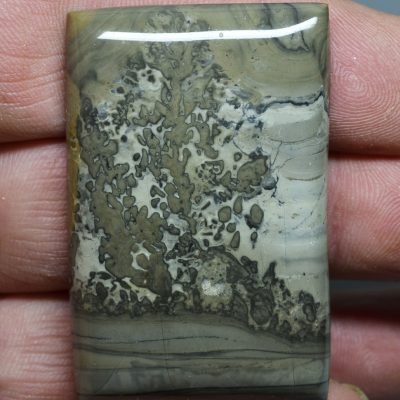 Stromatolite-119.78-ct.jpg