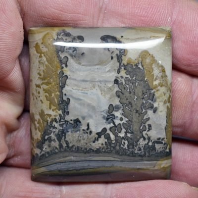 Stromatolite-132.18-ct.jpg