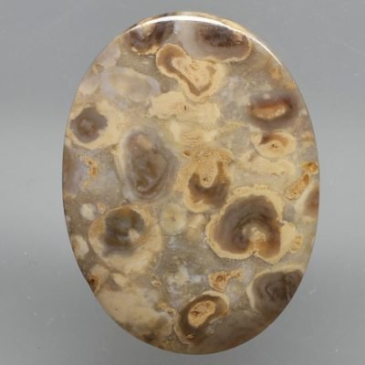 Stromatolite-22.96-ct.jpg