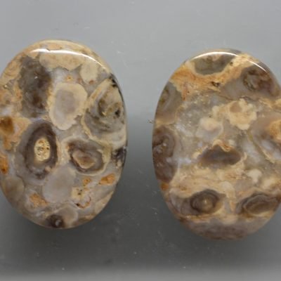 Stromatolite-24.52-ct.jpg