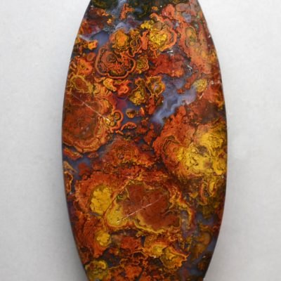 Stromatolite-31.01-ct.jpg