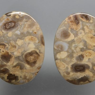 Stromatolite-49.19-ct.jpg