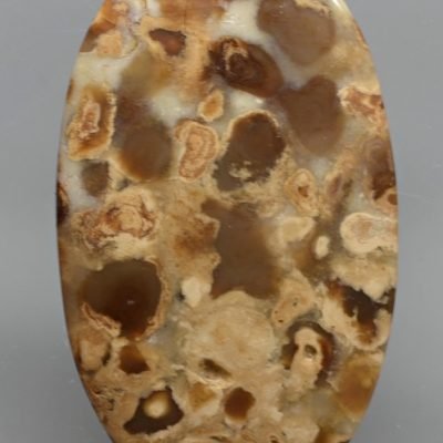 Stromatolite-66.33-ct.jpg