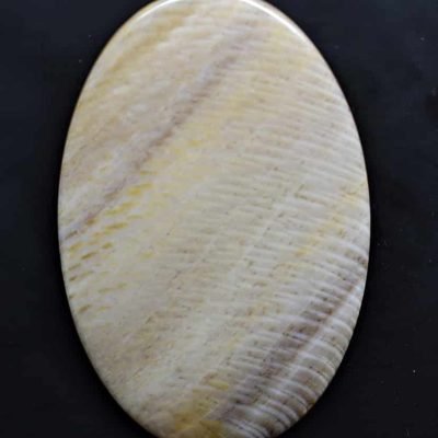 Sycamore-fossil-wood-104.87-ct.jpg