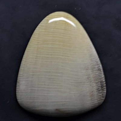 Sycamore-fossil-wood-34.62-ct.jpg