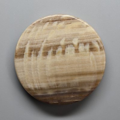 Sycamore-fossil-wood-36.22-ct.jpg