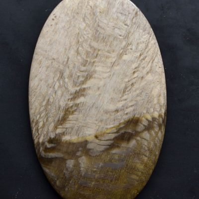 Sycamore-fossil-wood-63.40-ct.jpg