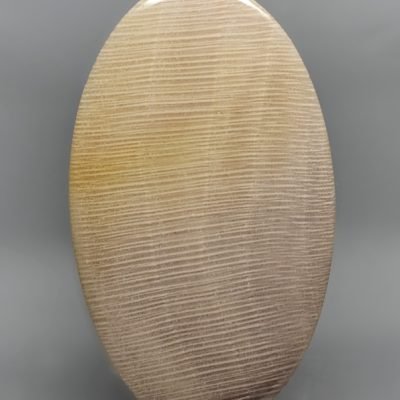 Sycamore-opalized-wood-58.03-ct.jpg
