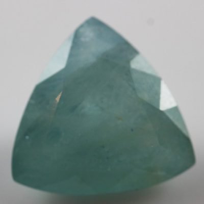 T1099.jpg