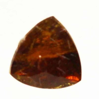 T764.jpg