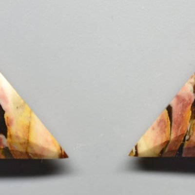 Teredo-14.83-ct.jpg