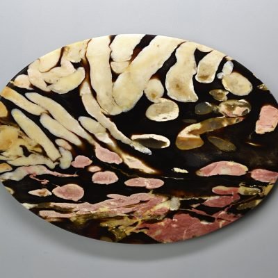 Teredo-227-ct.jpg