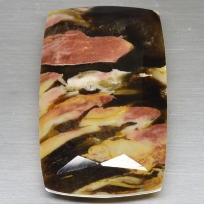 Teredo-23.05-ct.jpg