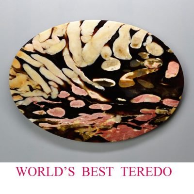 Teredo-3-pcs-copy.jpg