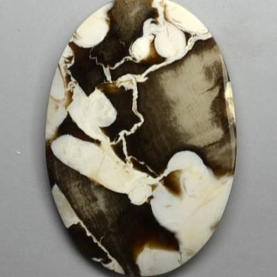 Teredo-45.99-ct.jpg