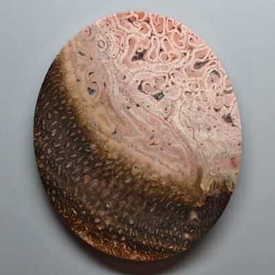 Tietea-singularis-145.50-ct.jpg