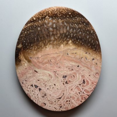 Tietea-singularis-148.19-ct.jpg