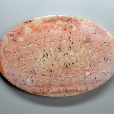 Tietea-singularis-166.32-ct.jpg