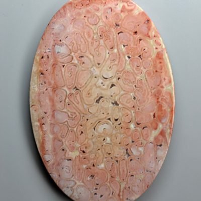 Tietea-singularis-166.40-ct.jpg